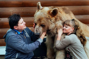 orso vive in casa