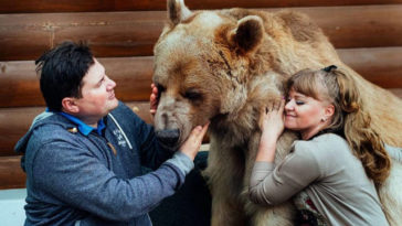 orso vive in casa