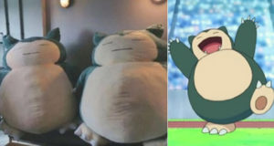 peluche