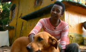 Lilica, il cane che tutte le sere porta cibo ai suoi amici